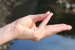 mudra6